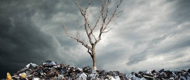 乐玩（中国）三和，设计更好用的垃圾桶